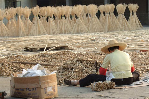 a bamboo field with a a Japaneses worker in a straw hat harvesting it 