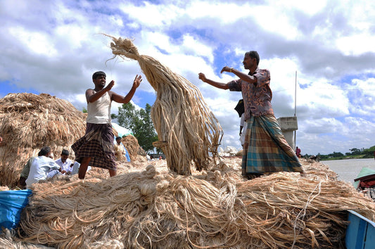two workers harvesting large bundles of jute fibers under a bright blue sky