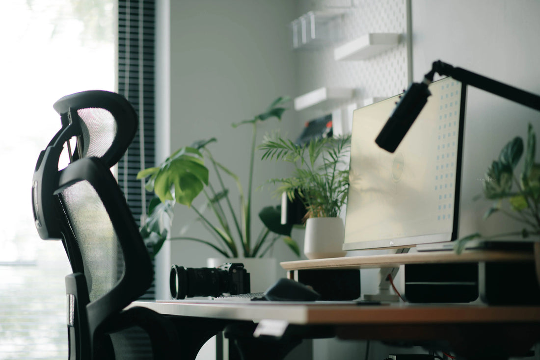 office with herman miller aeron chair, a plant and desktop 