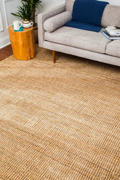 Andes Natural Jute Rug overhead living room shot